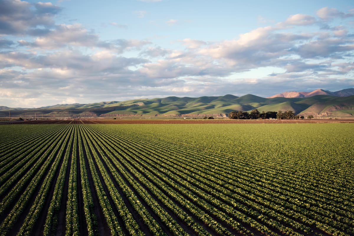 image of farmer